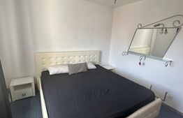 Apartament 2 camere, 87 mp, zona Intim 
