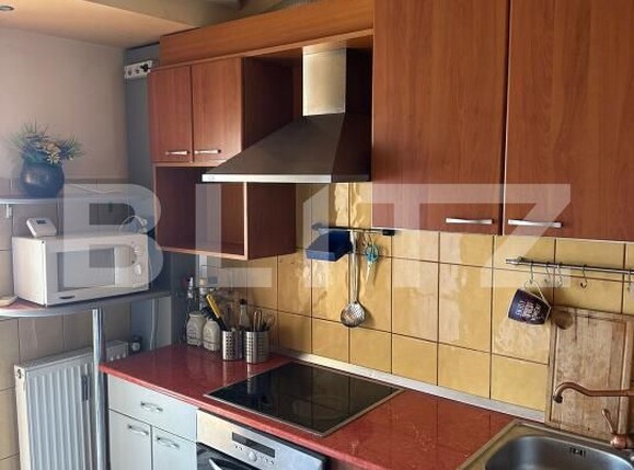 Apartament de închiriat 2 camere Intim - 193981AI | BLITZ Arad | Poza4