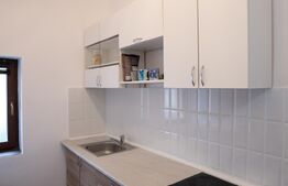 Apartament 2 camere, Central Arad, langa P. Catedralei si Parcul Reconcilierii 