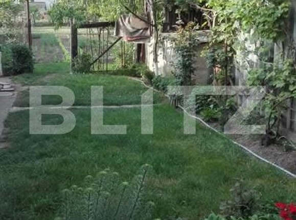 Casa de vânzare 4 camere Curtici - 194479CV | BLITZ Arad | Poza11
