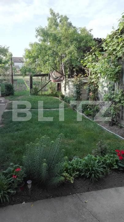 Casa de vânzare 4 camere Curtici - 194479CV | BLITZ Arad | Poza11