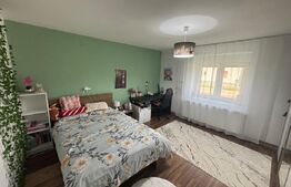 Casă în Șofronea cu 2 corpuri, 5 camere, terase, garaj și teren generos