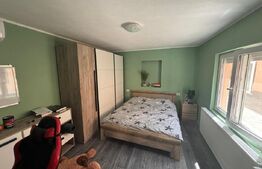 Casă în Șofronea cu 2 corpuri, 5 camere, terase, garaj și teren generos