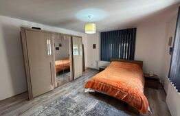 Casă în Șofronea cu 2 corpuri, 5 camere, terase, garaj și teren generos