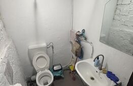 Apartament 2 camere, 50 mp, zona Ultracntral - Palatul Cenad