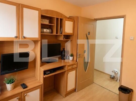 Apartament de vânzare 3 camere Micalaca - 195186AV | BLITZ Arad | Poza4