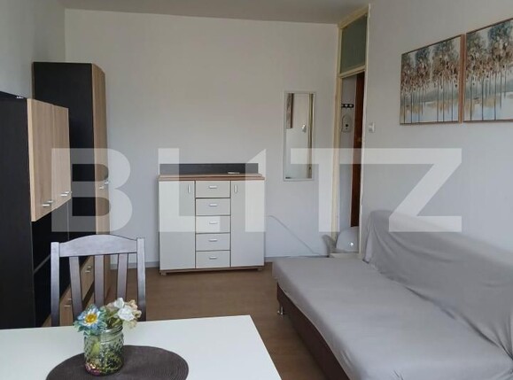 Garsonieră de vânzare Micalaca - 196233AV | BLITZ Arad | Poza2