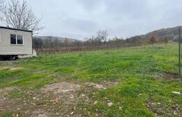 Teren 6365 mp casute tip hobbit in zona de agrement Dealul Viilor  Ineu de Arad