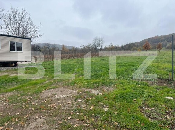 Teren de vânzare Ineu - 209253TV | BLITZ Arad | Poza5