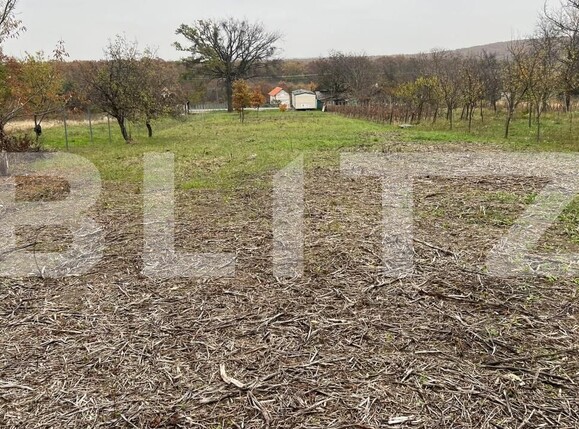 Teren de vânzare Ineu - 209253TV | BLITZ Arad | Poza6