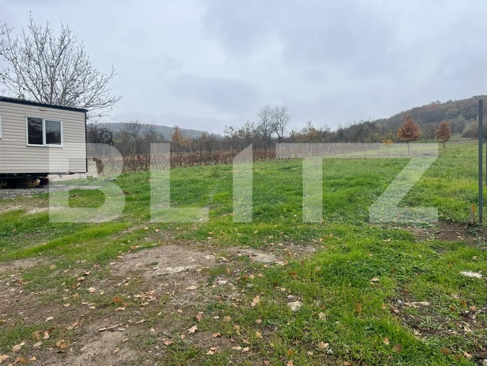 Teren de vânzare Ineu - 209253TV | BLITZ Arad | Poza5
