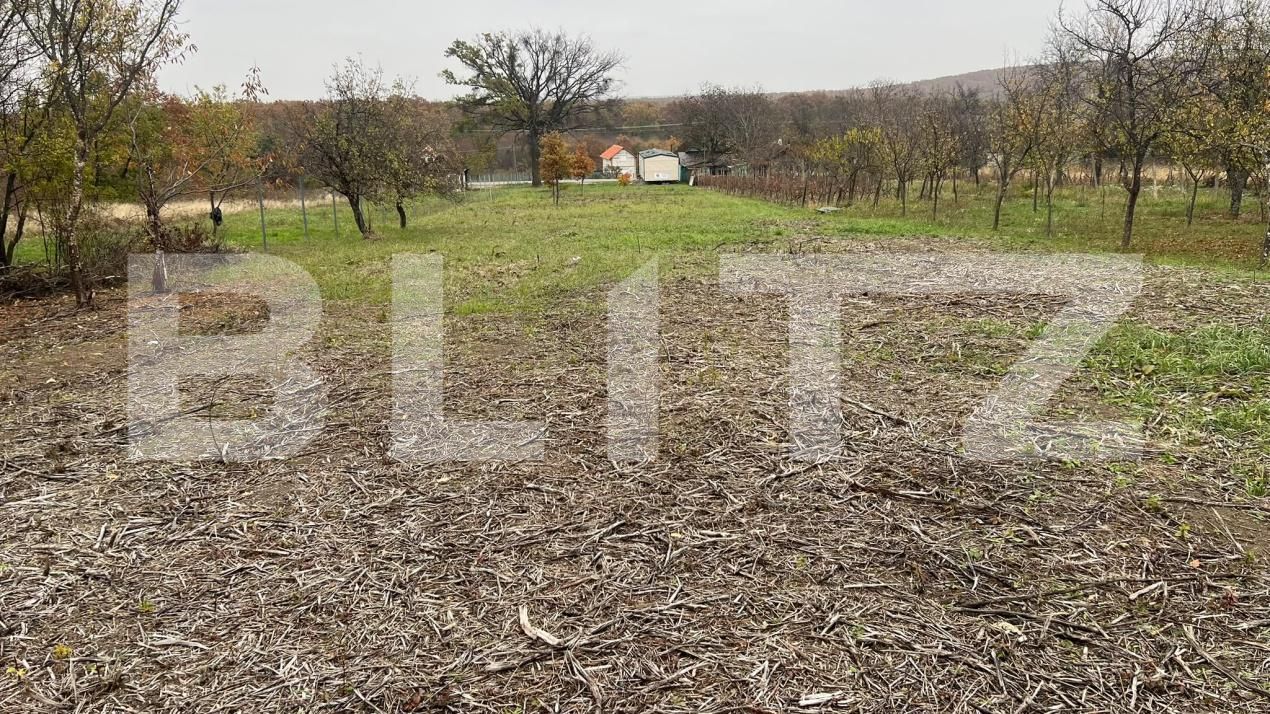 Teren de vânzare Ineu - 209253TV | BLITZ Arad | Poza6