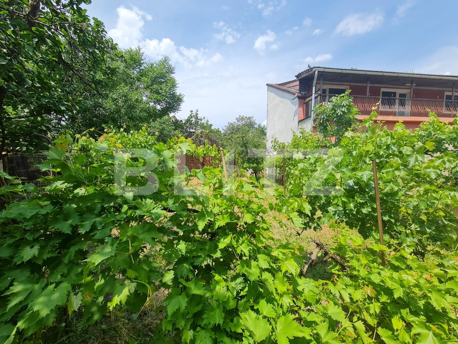 Teren de vânzare Functionarilor - 66541TV | BLITZ Arad | Poza3