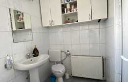 Casa spatioasa cu spatiu comercial, 220 mp utili, Parneava-Faleza Sud