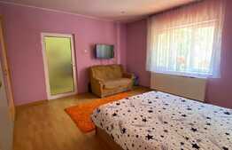 Casa spatioasa cu spatiu comercial, 220 mp utili, Parneava-Faleza Sud