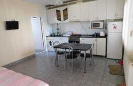 Casa spatioasa cu spatiu comercial, 220 mp utili, Parneava-Faleza Sud