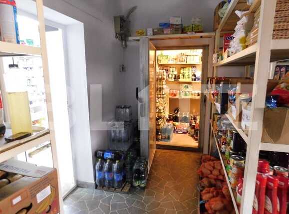 Spațiu comercial de vânzare Parneava - 66566SVC | BLITZ Arad | Poza4