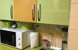 Apartament 160 mp,ultracentral,zona Teatrului Ioan Slavici.