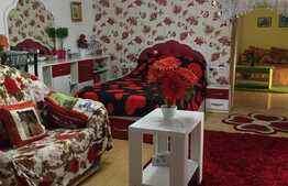 Apartament 160 mp,ultracentral,zona Teatrului Ioan Slavici.