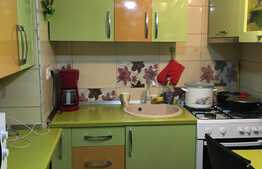 Apartament 160 mp,ultracentral,zona Teatrului Ioan Slavici.