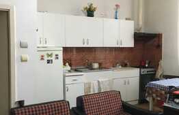 Oportunitate de investitie! 4 apartamente 230 mp situate in centrul Aradului!