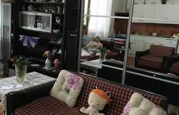 Oportunitate de investitie! 4 apartamente 230 mp situate in centrul Aradului!