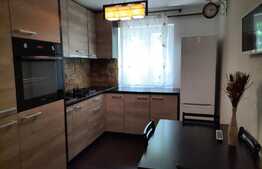 Ocazie! Apartament de 2 camere la cheie, amenajat modern, Podgoria!