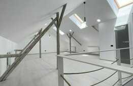 Spatiu ultracentral pentru Clinica medicala, Centru Wellness & SPA, sediu de firma 510 mp utili