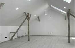 Spatiu ultracentral pentru Clinica medicala, Centru Wellness & SPA, sediu de firma 510 mp utili