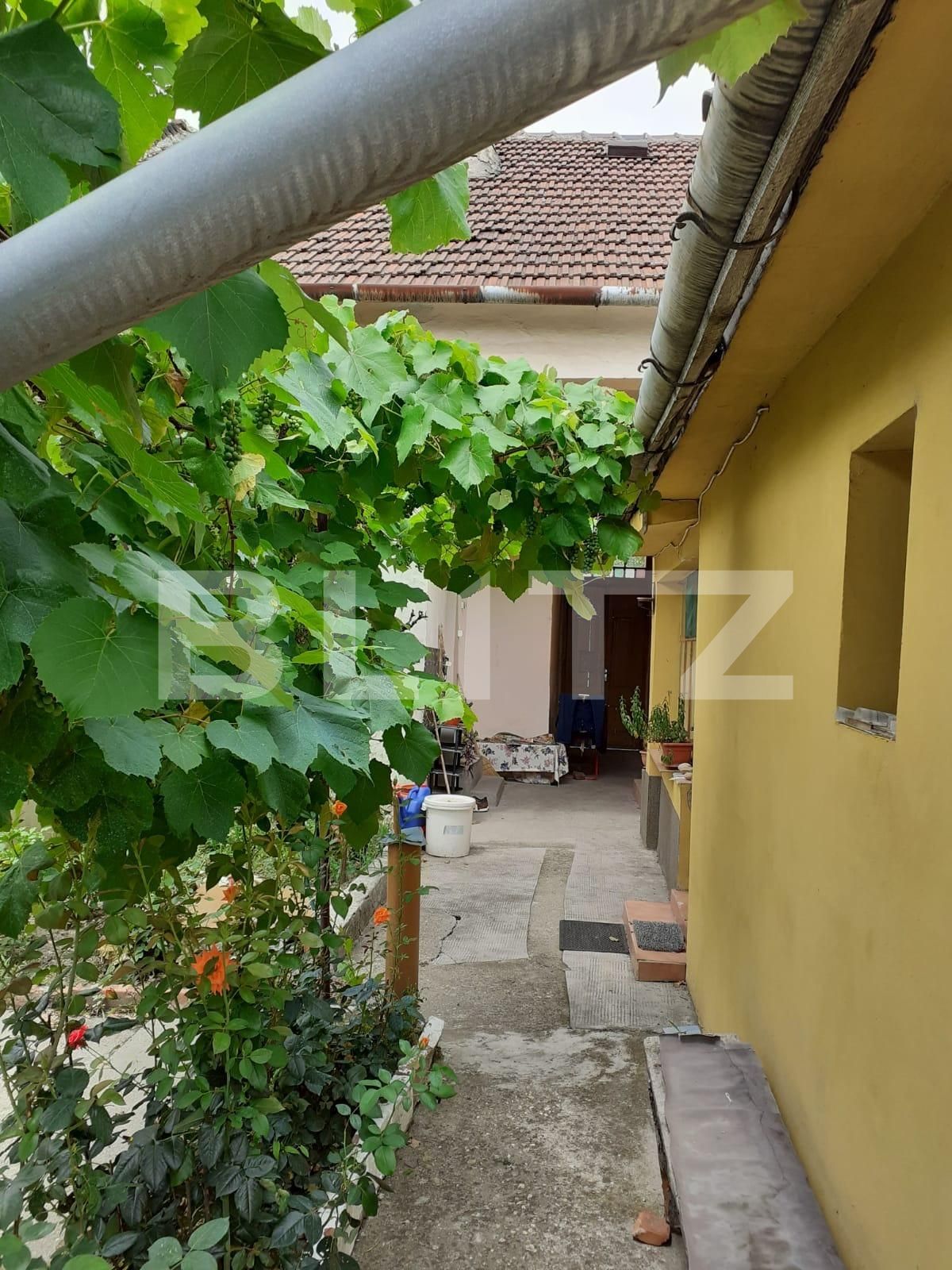 Casa de vânzare 3 camere Gradiste - 68389CV | BLITZ Arad | Poza2