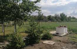 Casa individuala 196 mp, teren 2900 mp, in localitatea Șimand