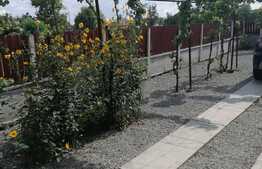 Casa individuala 196 mp, teren 2900 mp, in localitatea Șimand