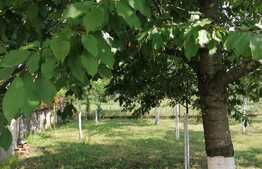 Casa individuala 196 mp, teren 2900 mp, in localitatea Șimand