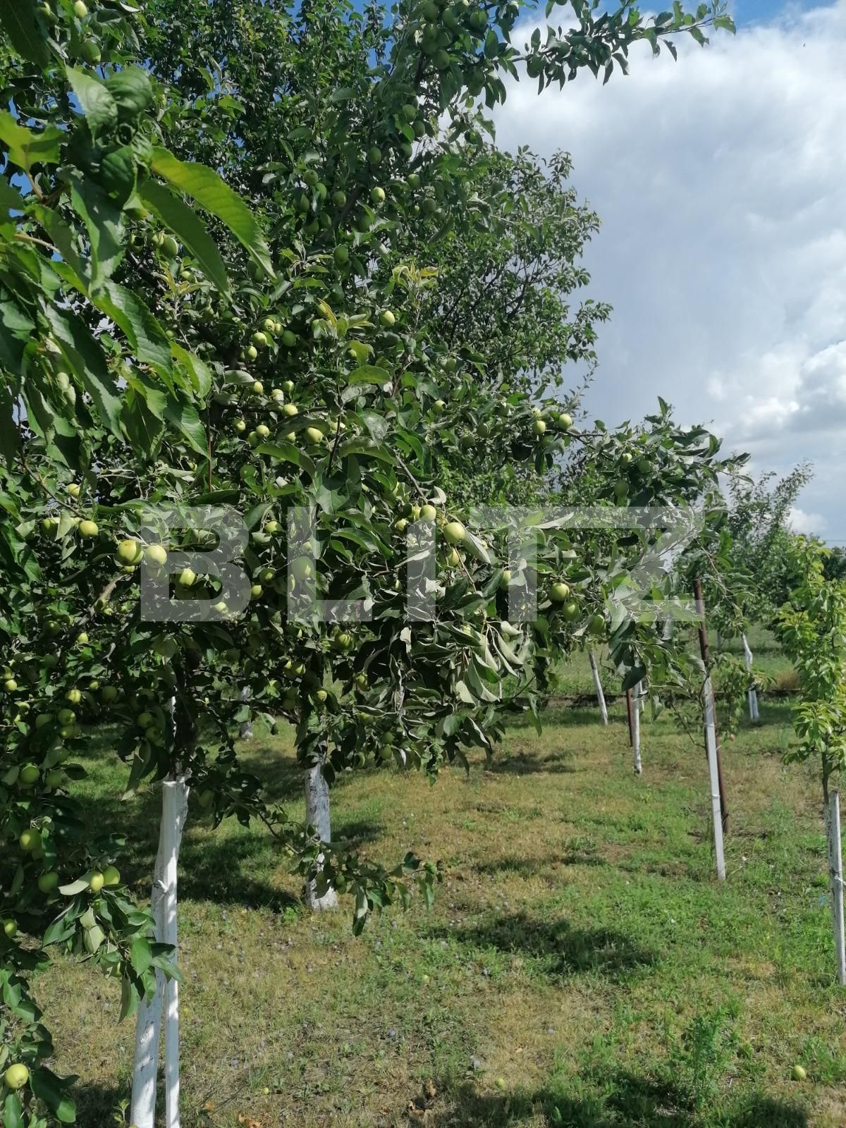 Casa de vânzare 6 camere Nord - 68550CV | BLITZ Arad | Poza11