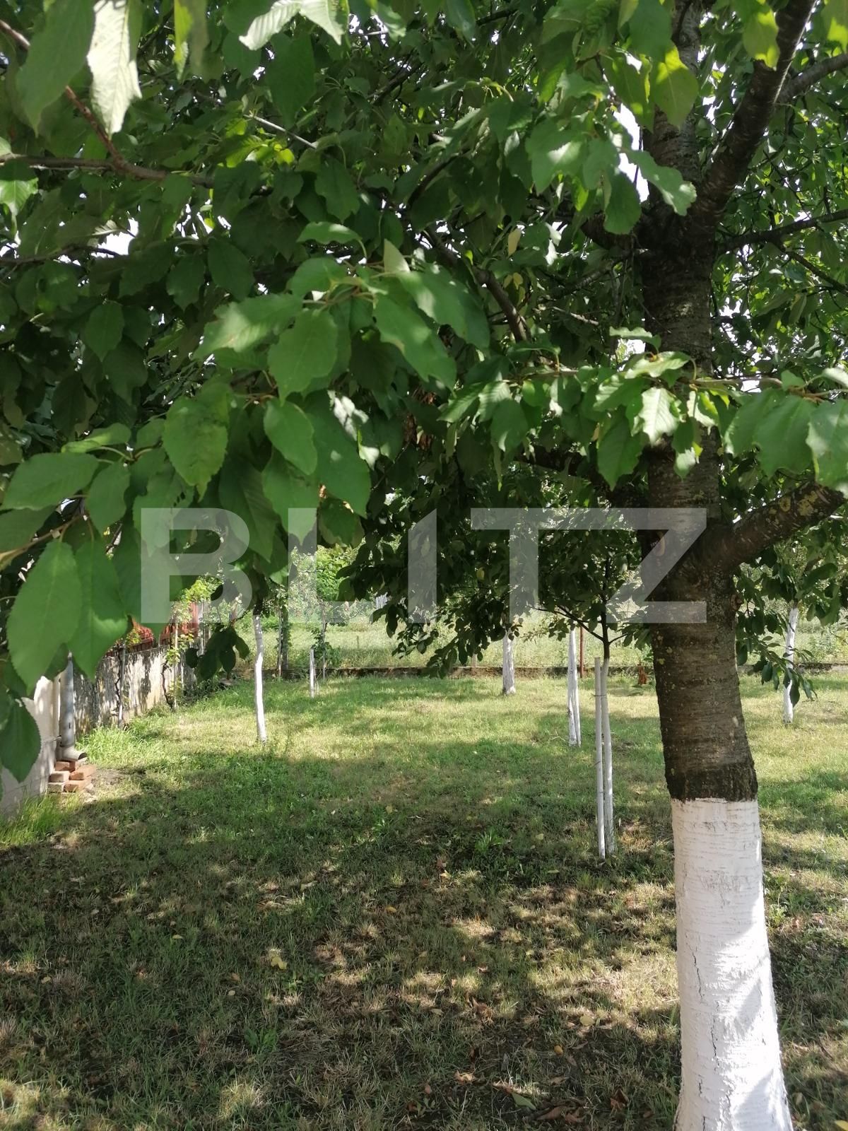 Casa de vânzare 6 camere Nord - 68550CV | BLITZ Arad | Poza10