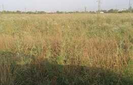 Teren de vanzare in Gradiste, 1500 mp