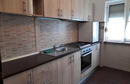 Apartament 2 camere, parter, loc de parcare, 52 mp, Podgoria!