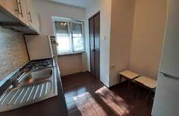 Apartament 2 camere, parter, loc de parcare, 52 mp, Podgoria!