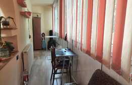 Apartament 5 camere, Etajul 1, Spatios, 100 mp, Zona Miorita!