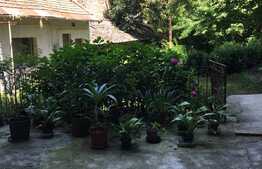 Apartament de 3 camere, 113 mp, Ultracentral!