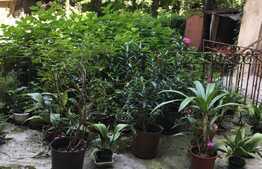 Apartament de 3 camere, 113 mp, Ultracentral!