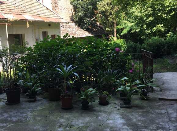 Apartament de vânzare 3 camere Ultracentral - 69084AV | BLITZ Arad | Poza1