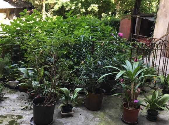 Apartament de vânzare 3 camere Ultracentral - 69084AV | BLITZ Arad | Poza11