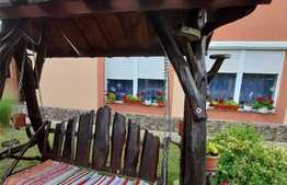 Casa de vanzare S+P+M in Zadareni, 204 mp si teren 1004 mp si doua fronturi stradale