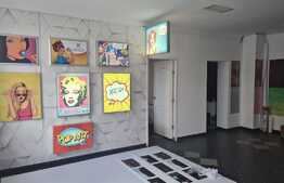 Casa cu spatiu comercial, 254 mp, Parneava