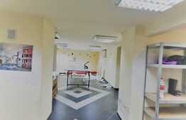 Casa cu spatiu comercial, 254 mp, Parneava