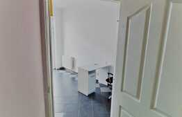 Casa cu spatiu comercial, 254 mp, Parneava