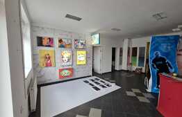 Casa cu spatiu comercial, 254 mp, Parneava