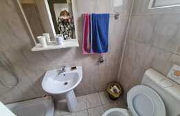 Casa cu spatiu comercial, 254 mp, Parneava