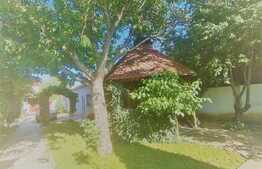 Casa cu 2 corpuri, 400 mp utili, teren 900 mp, Tabacovici